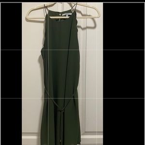 Naked Zebra Green Dress